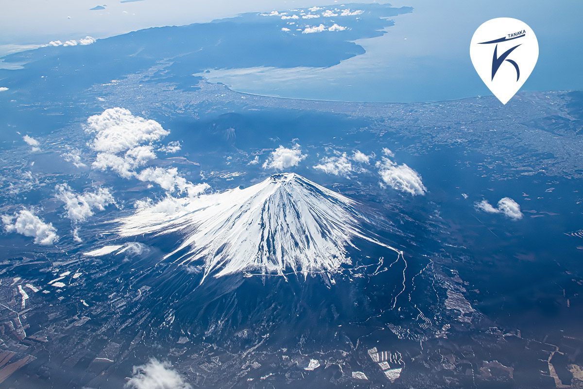 ホームページを開設しました。